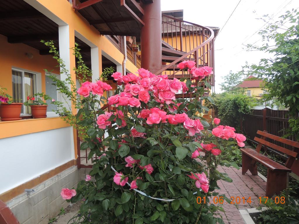 Pensiunea Iulia Sulina Exterior foto
