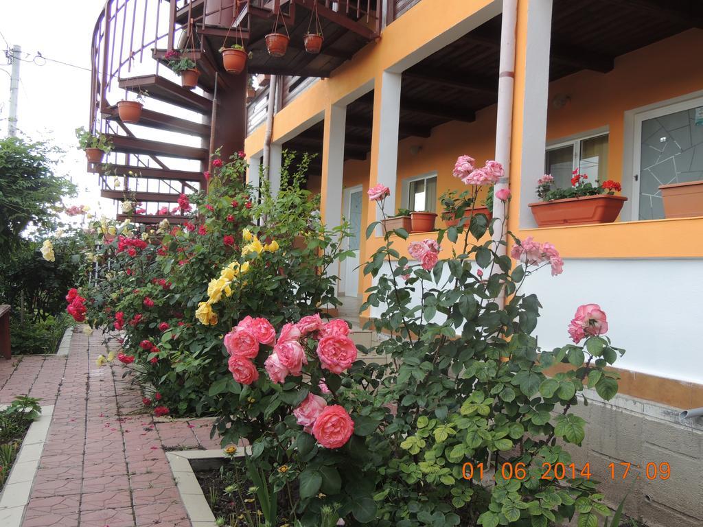 Pensiunea Iulia Sulina Exterior foto